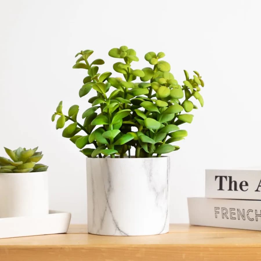 Artificial Privet Plant with Faux Marble Pot - 8.5" - Green