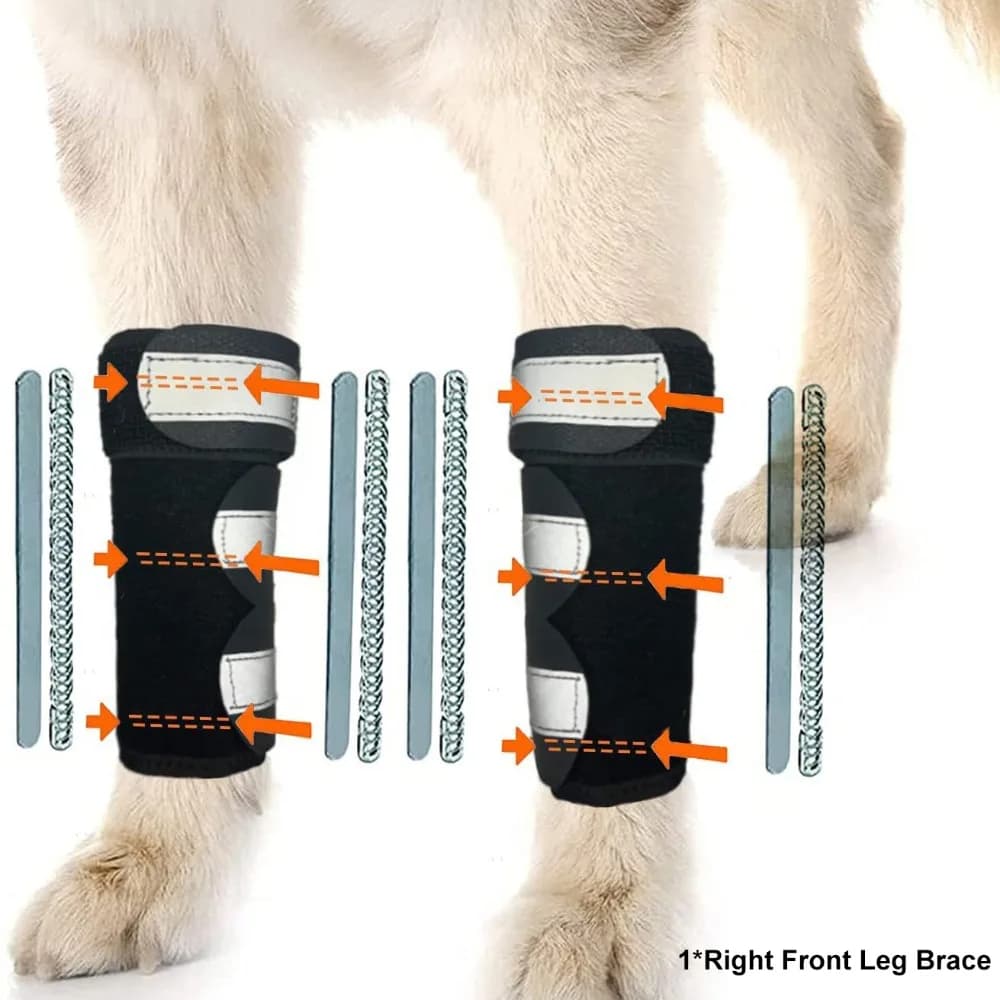 1PC strisce per PC portatili tutore per gamba anteriore per cani strisce riflettenti cinghie regolabili tutore per ginocchio supporto articolare traspirante antiscivolo