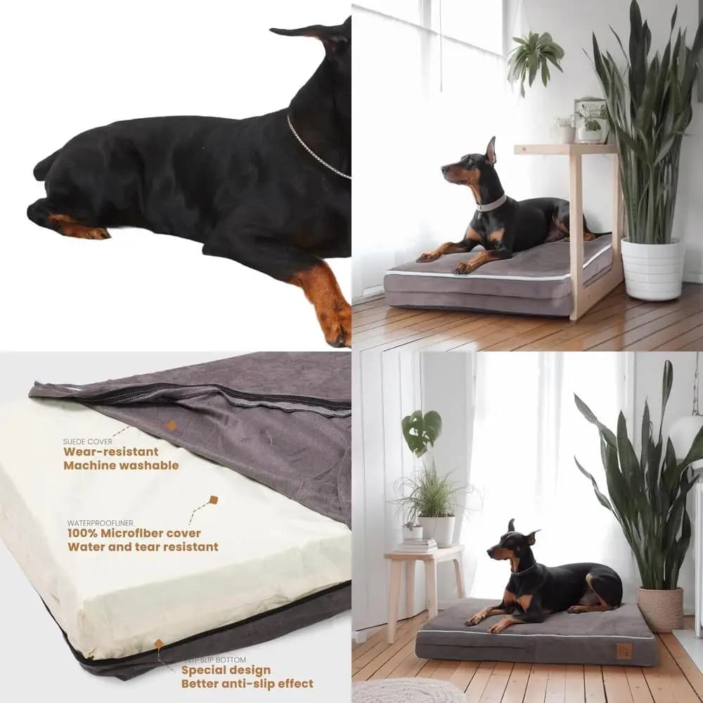 Letto Ortopedico per Cani in Memory Foam Grigio Ardesia, 40x25x4 con Rivestimento Impermeabile e Copertura Rimovibile