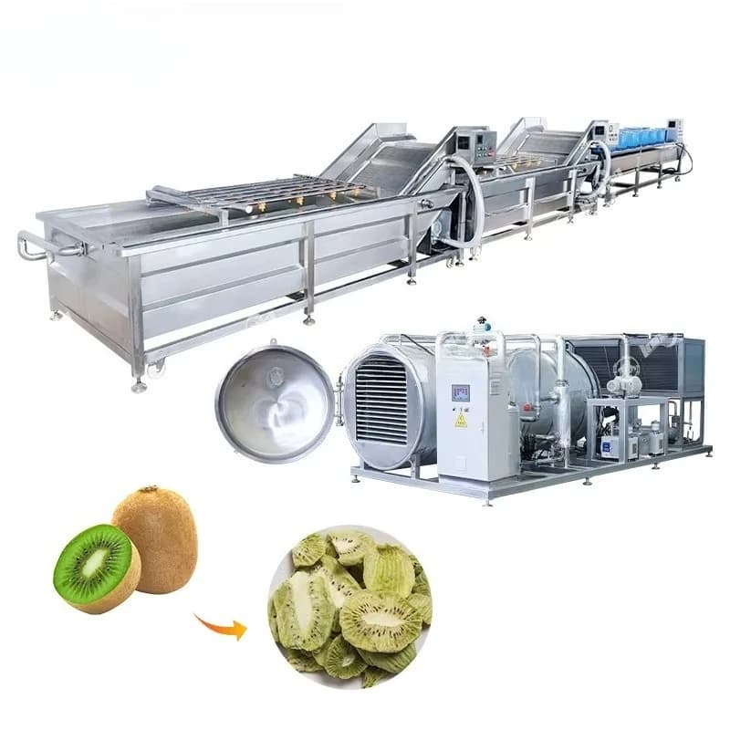 Linea di produzione di liofilizzazione della frutta completamente automatica Linea di elaborazione del liofilizzatore di lavaggio per frutta secca