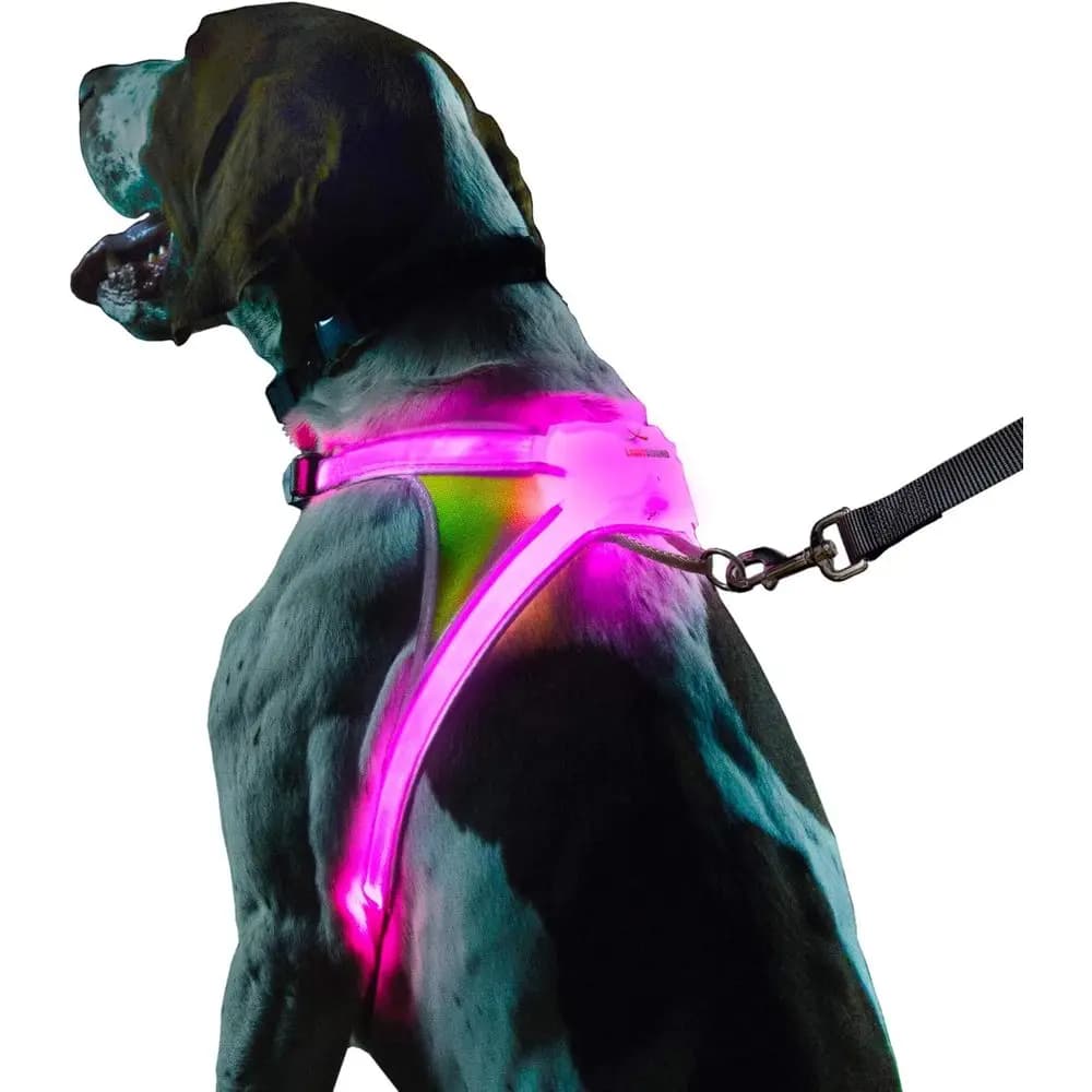 Guinzaglio per Cani Riflettente Illuminato con Fibre Ottiche LED Multicolore, Ricaricabile USB, Regolabile, Leggero, Impermeabile