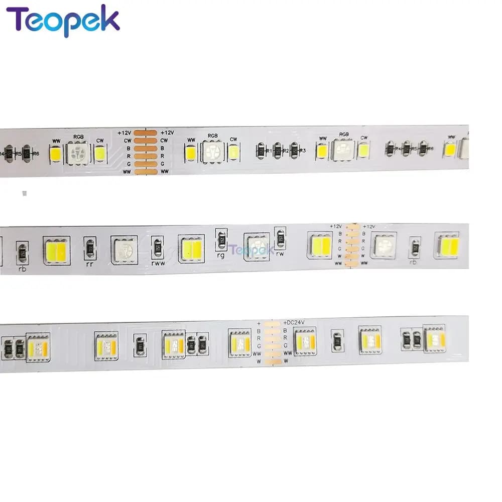 5050 RGB CCT LED Strip 5M DC 12V 24V RGB CCT 5050 2835 RGB Dual White RGBCW 5 in 1 bianco caldo bianco flessibile strisce luminose a LED