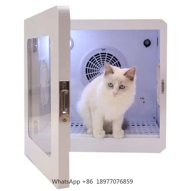 Asciugacapelli per animali domestici portatile a mani libere dopo il bagno per scatola per asciugatrice per animali domestici di piccole e medie dimensioni per gatti