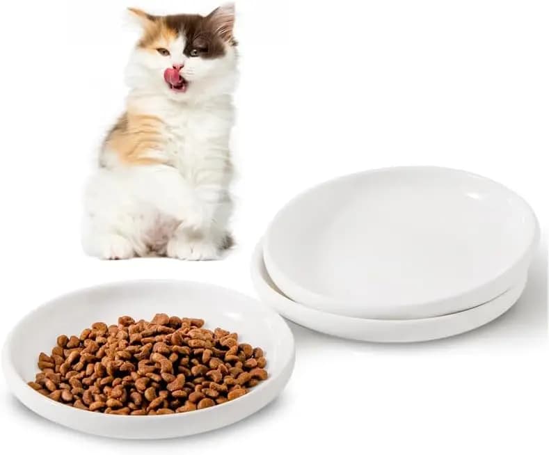 3 Ciotole in Ceramica per Gatti, Piatti per Animali Domestici da 5,5 Pollici per Cibo e Acqua, Ciotola per Cani Piccoli in Bianco