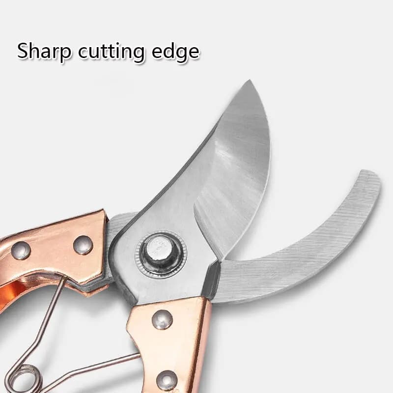 For branches Thick tree limbs Garden equipment Garden scissors Potator pruning shears for gardening and horticulture pots for domestic use