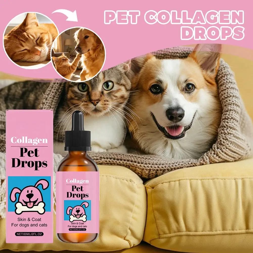 Collagen Drops for Domestic Animals, Skin Care Supplement and Dogs and Cats