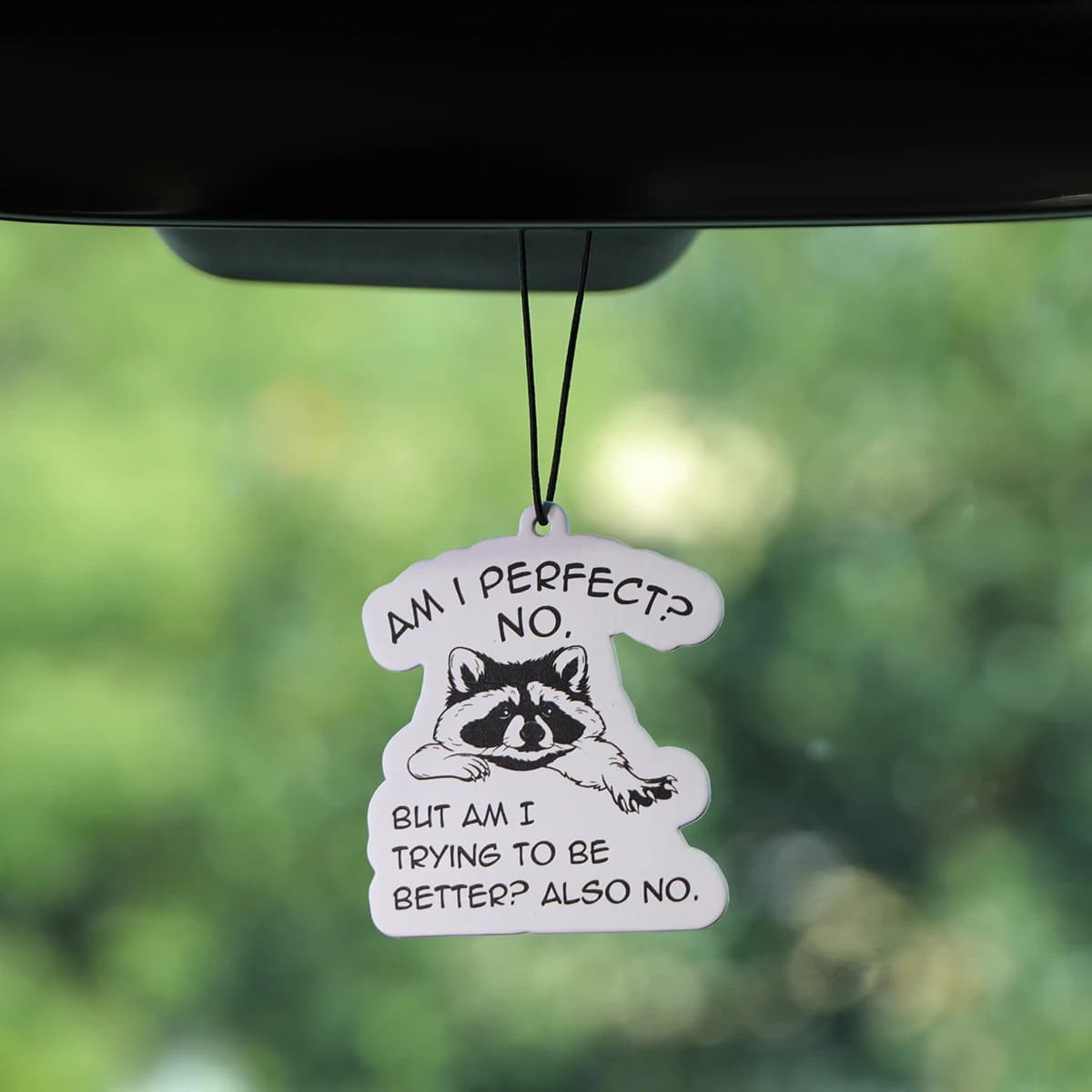 Simpatico procione Deodoranti per auto Compresse per aromaterapia per auto Specchietto retrovisore Decorazioni pendenti Accessori per auto Pendenti interni
