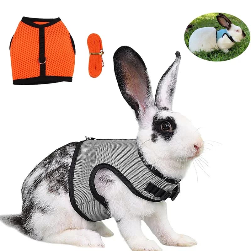 Set di Imbracatura e Guinzaglio in Rete Traspirante per Conigli e Furetti, Accessori per Conigli, Imbracature per Gatti