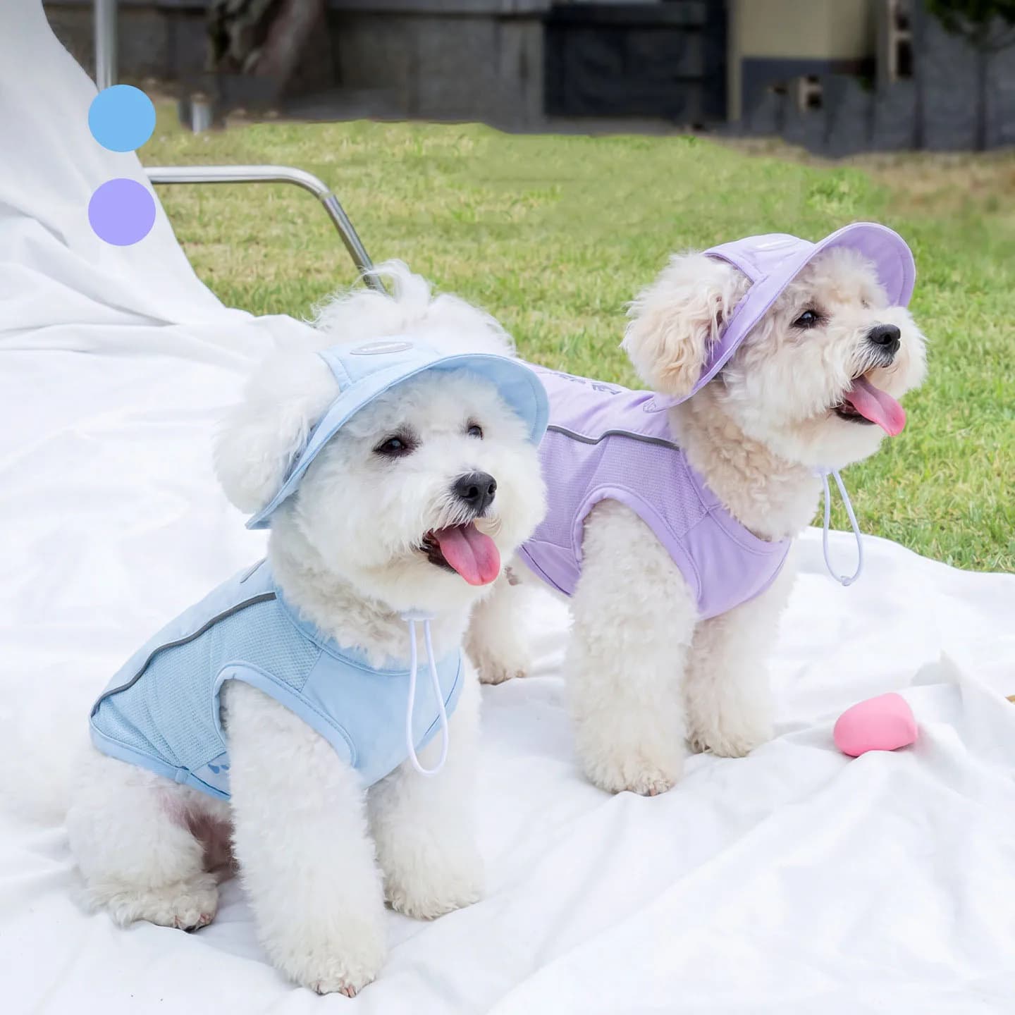 Summer Cooling Dog Vest& Hat Set UV Protection Dog Clothes Breathable Cooling Reflective Back Puppy Costume For Outdoor Walking