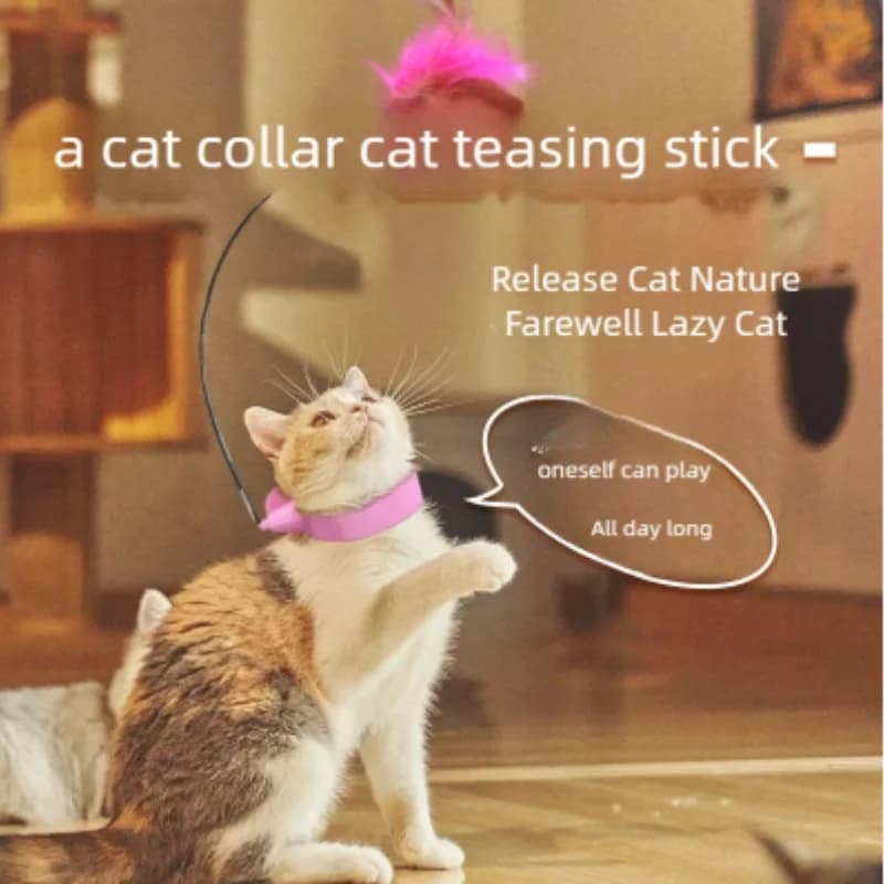 Collare per il collo del giocattolo del gatto della campana della piuma per l'autointrattenimento Forniture per animali domestici Nuovo collare teaser per gatti del prodotto caldo