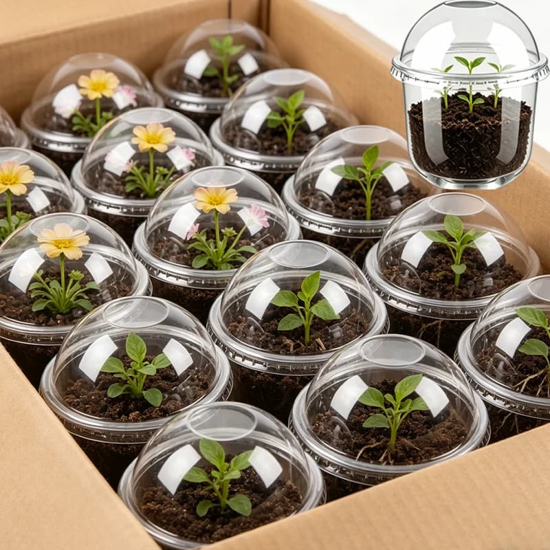 30/10 Transparent Garden Vase Parts with Cover, Plastic Containers for Flowers, Seed and Plant Growth Mugs