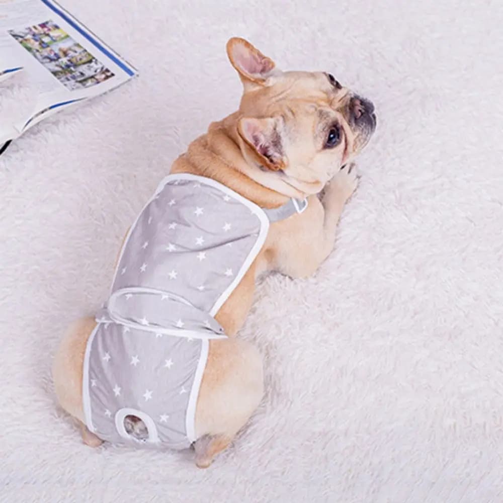Pantaloncini Fisiologici per Cani con Motivo a Stelle, Morbidi e Regolabili, in Cotone Traspirante per Cani Femmina, per Tutte le Stagioni