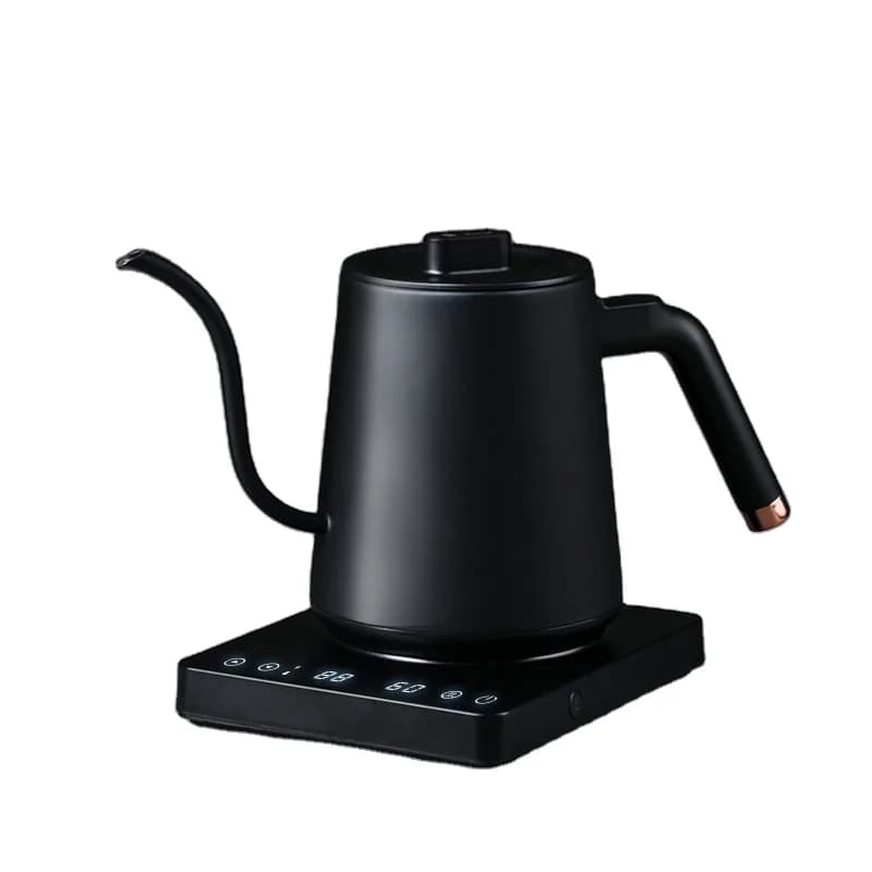 Electric kettle with gooseneck for coffee with temperature control in stainless steel EU 600 ml
