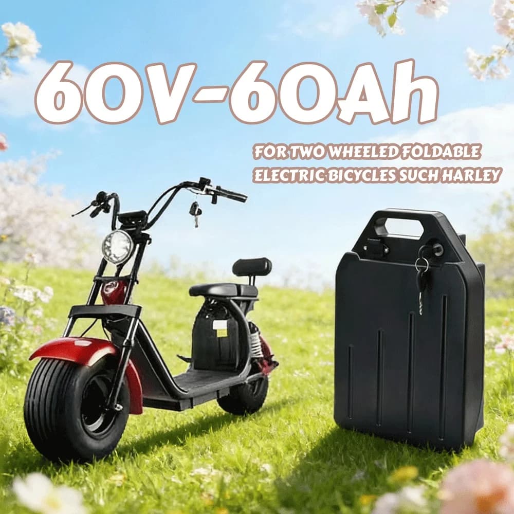 ✨ Batteria al Litio Elettrica Impermeabile 18650 60V 60ah per Citycoco Pieghevole a Due Ruote ✨