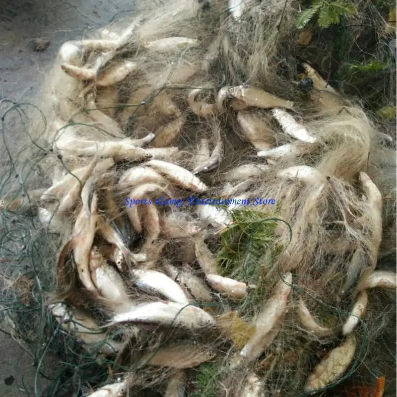 G7NF Gabbia da pesca per gamberetti pieghevole a strato singolo con rete da pesca all'aperto 20 M
