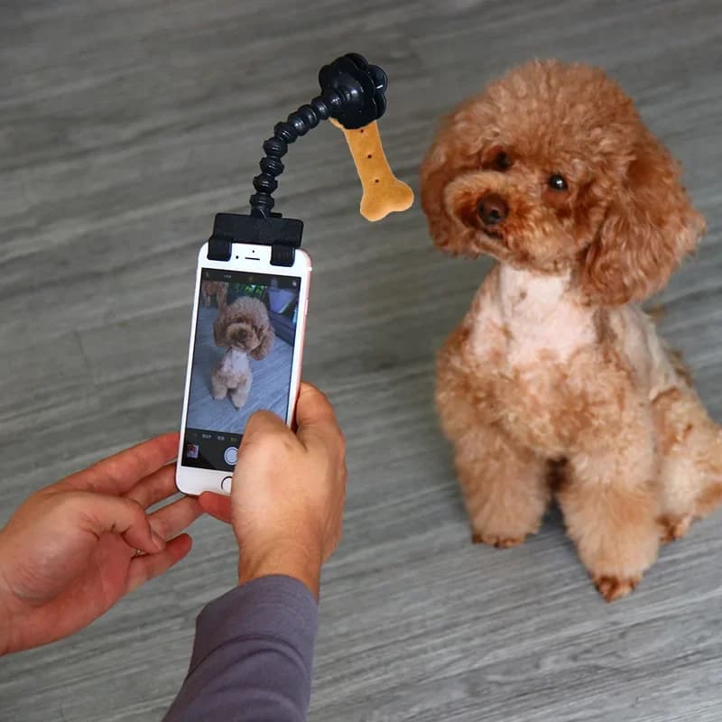 Bastone per selfie per animali domestici, strumenti fotografici per cani e gatti, giocattoli interattivi per animali domestici, accessori per l'allenamento e la concentrazione, accessori per cani, dropshipping