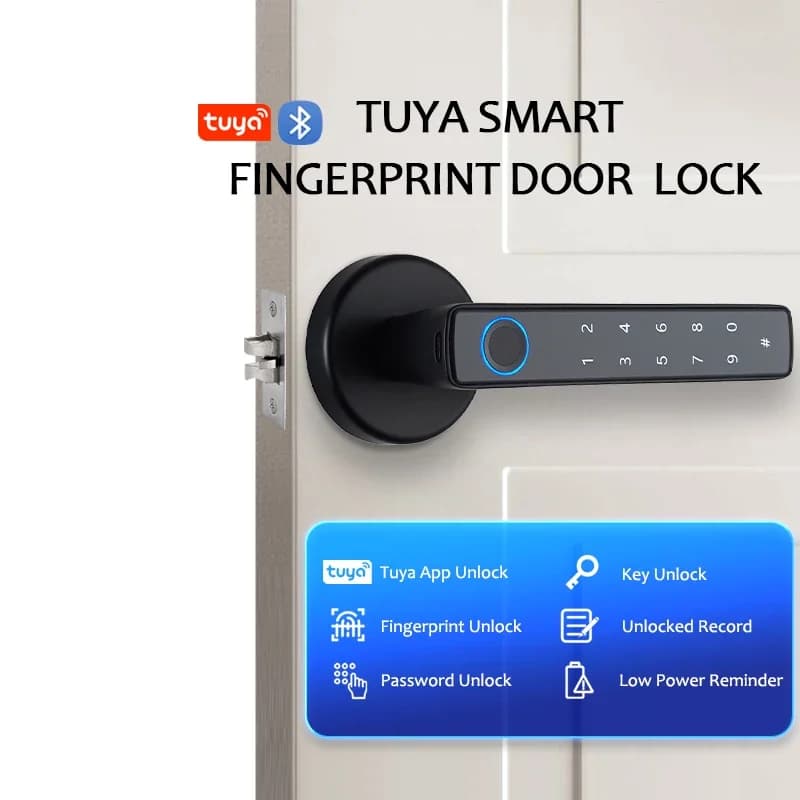 Tuya Smart Serratura esterna Serratura elettronica biometrica Kit domestico Automazione domestica intelligente Protezione domestica Controllo intelligente della vita