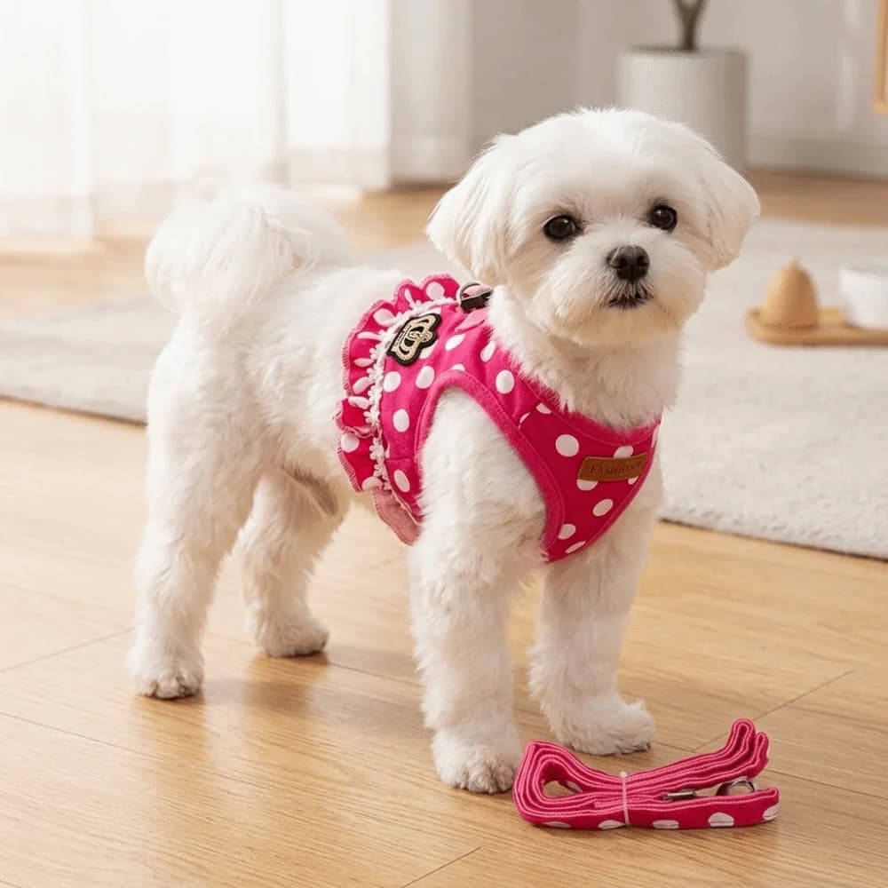 Soft Webbing Dog Harness Leash Set Pink Tone Vest Style Pet Walking Harness Polka Dot Print Adjustable Strap