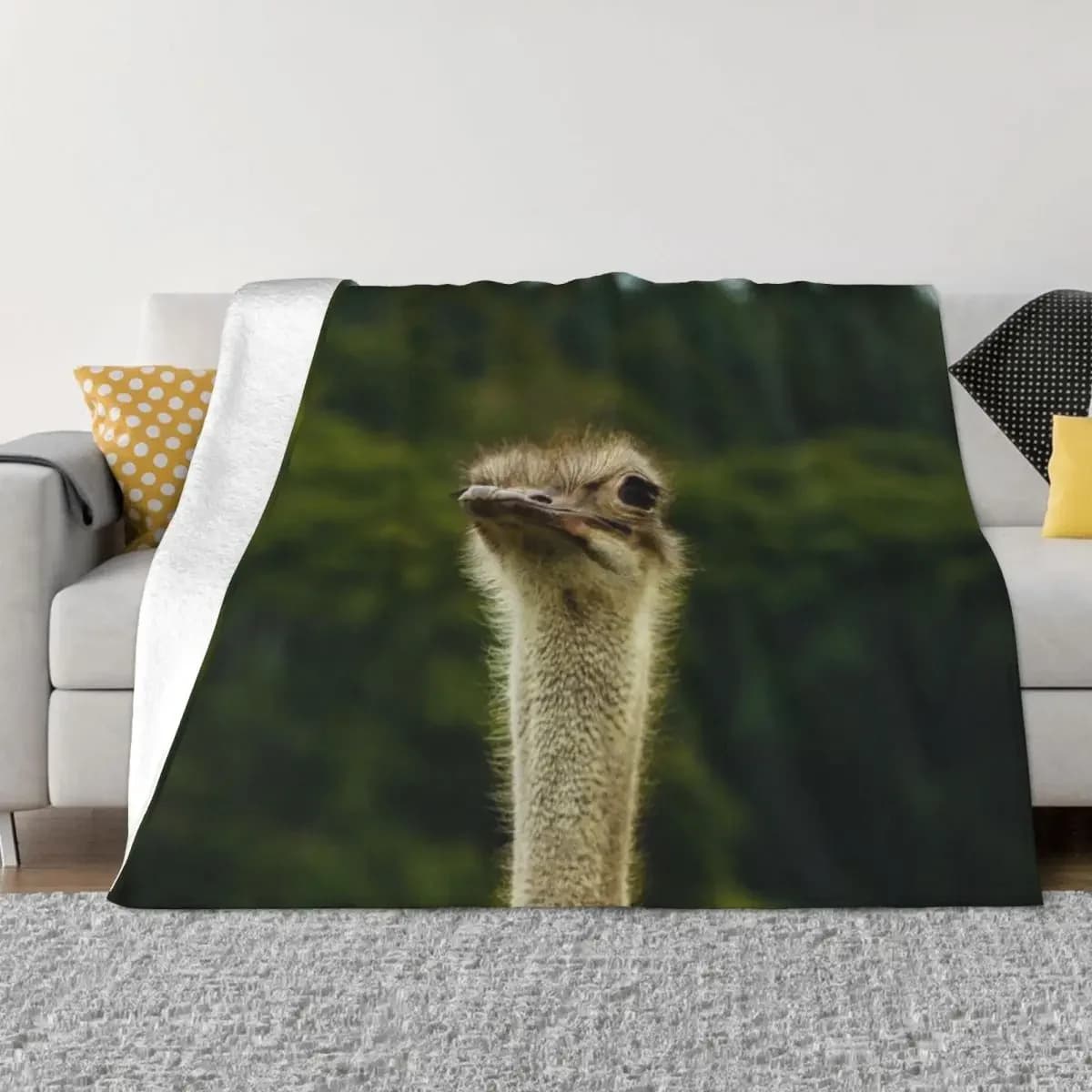 Struzzo in piedi fotografia alta-fotografia di struzzo coperta da tiro divani di moda designer di marca di lusso divano Hairys coperte