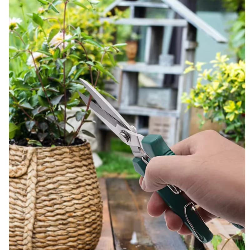 1 Piece of Pruning Shears with Straight Heads, Non-Slip Handle, Stainless Steel Manual Tool for Home Use, Bonsai Gardening Scissors, Fruit Tree Pruning Shears, Fruit Thinning Shears