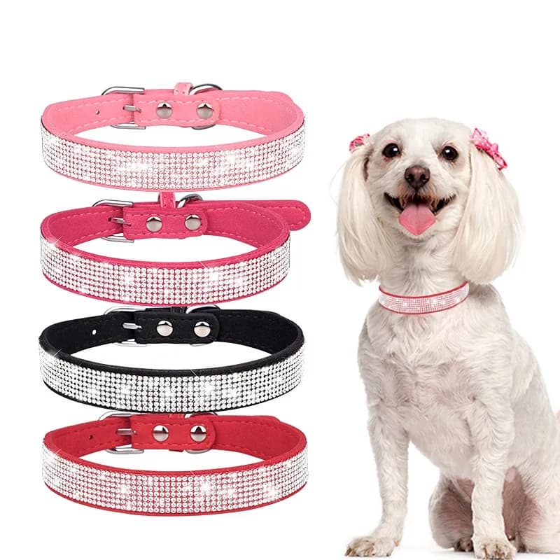 Set collare per animali domestici con catena collare per cani con strass lucidi per cani di piccola e media taglia Guinzagli da passeggio Collare per gatti in microfibra