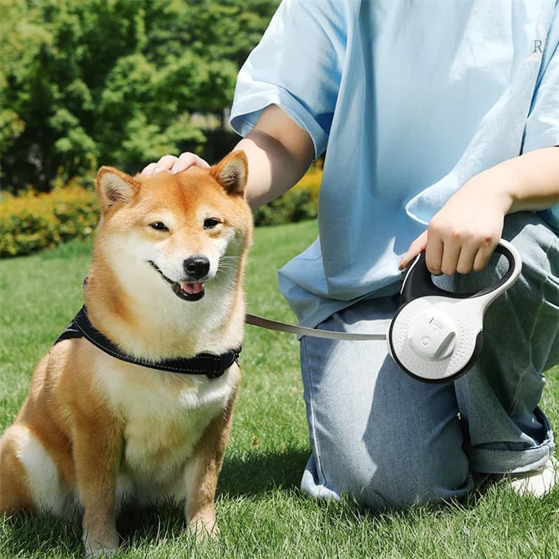 Guinzaglio per cani 5M/8M con dispenser automatico di sacchetti per cacca Corda da traino per roulette con torcia a LED staccabile Collare per cuccioli di animali domestici Piombo da passeggio