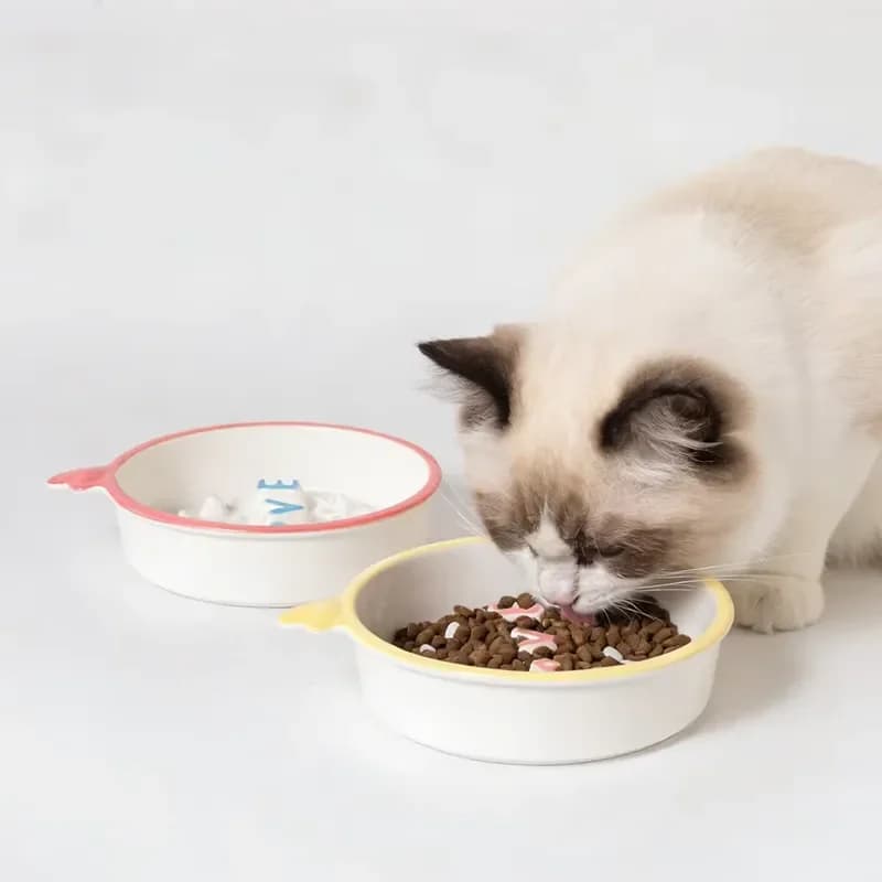Ceramic Leak Proof Slow Feeder Pet Bowl for Dogs and Cats Anti Choking Slow Eating Bowl Non Tipping Food Bowl with LOVE