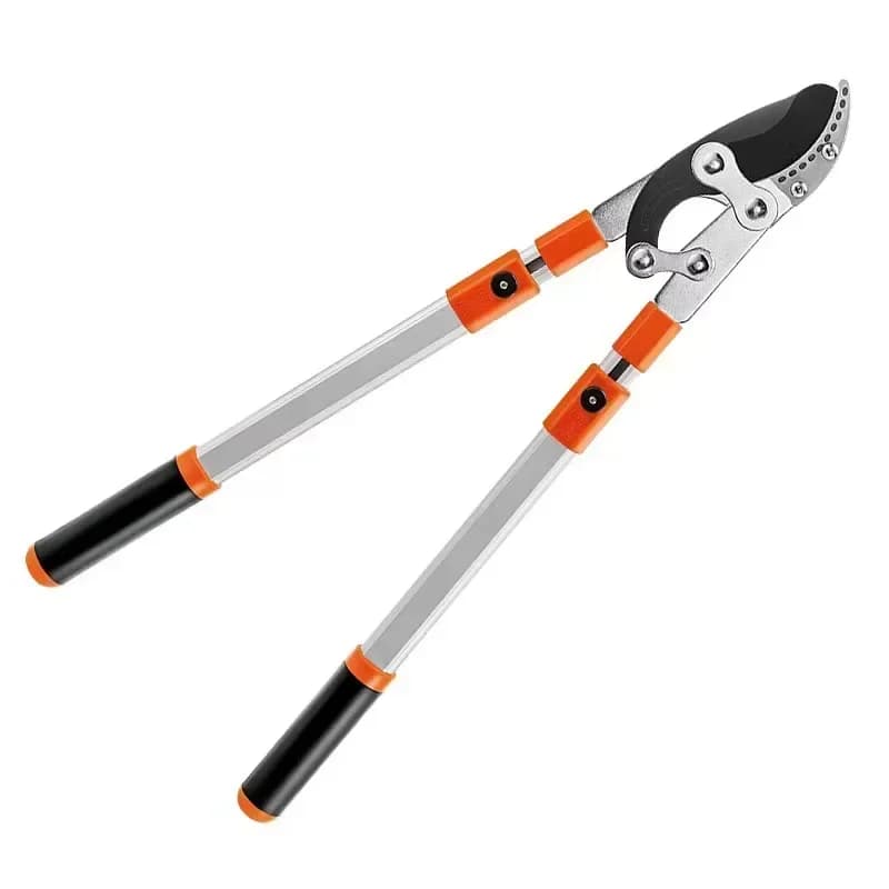 Garden branches scissors Extensible in steel SK5 Long garden power Planting shears for fruit trees Garden equipment Professional manual tools