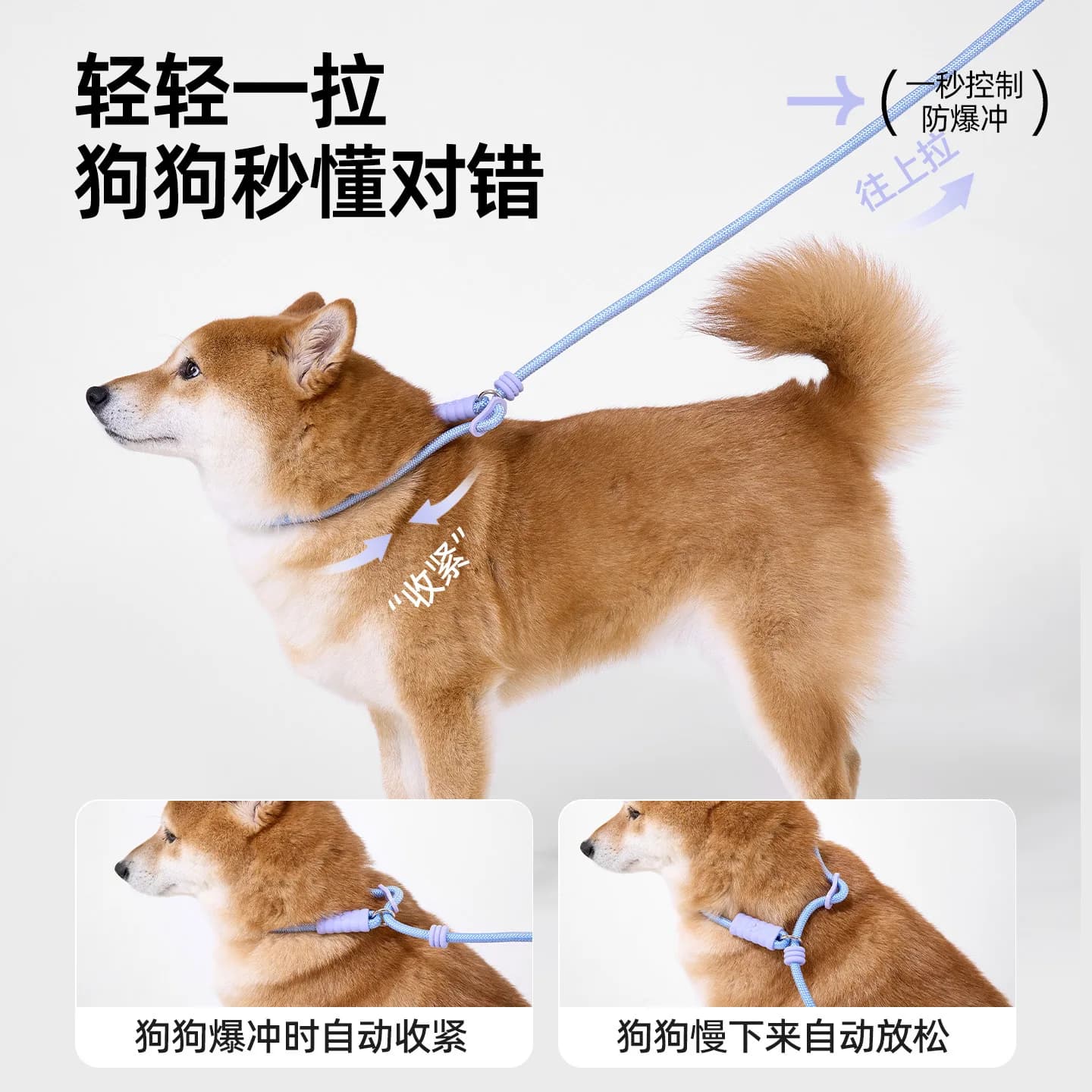 Guinzaglio per Cani con Impugnatura in Schiuma Confortevole Anti-Salto Rapido, per Cani Piccoli, Medi e Grandi, Anti-Fuga