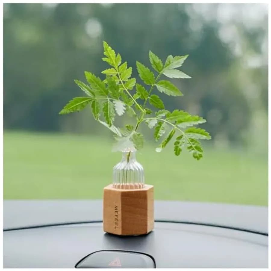 Car Flower Vase, Mini Self-Adhesive Glass Dashboard Vase with Wood Stand for Dried Flowers, Small Artificial Plants, Home and O