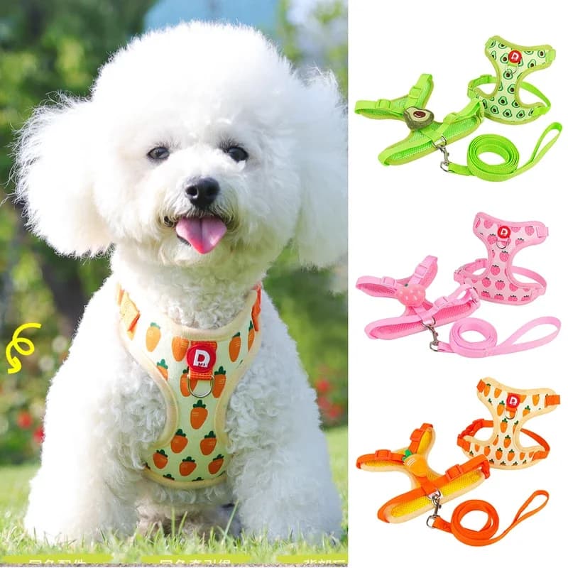 Set Pettorina e Guinzaglio per Cani e Gatti con Motivo Frutta, Regolabile, Morbido, Traspirante, per Passeggiate Estive, Accessori per Cuccioli e Gattini