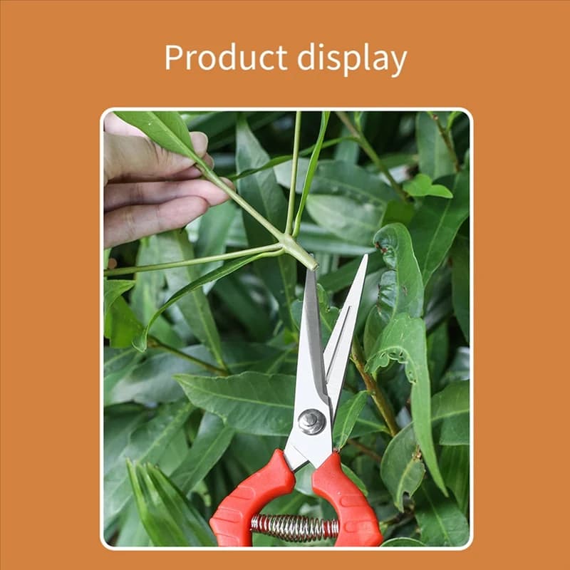 AB34-Garden pruning shears Scissors for potted branches Fruit collection Small scissors Hand tools for the house