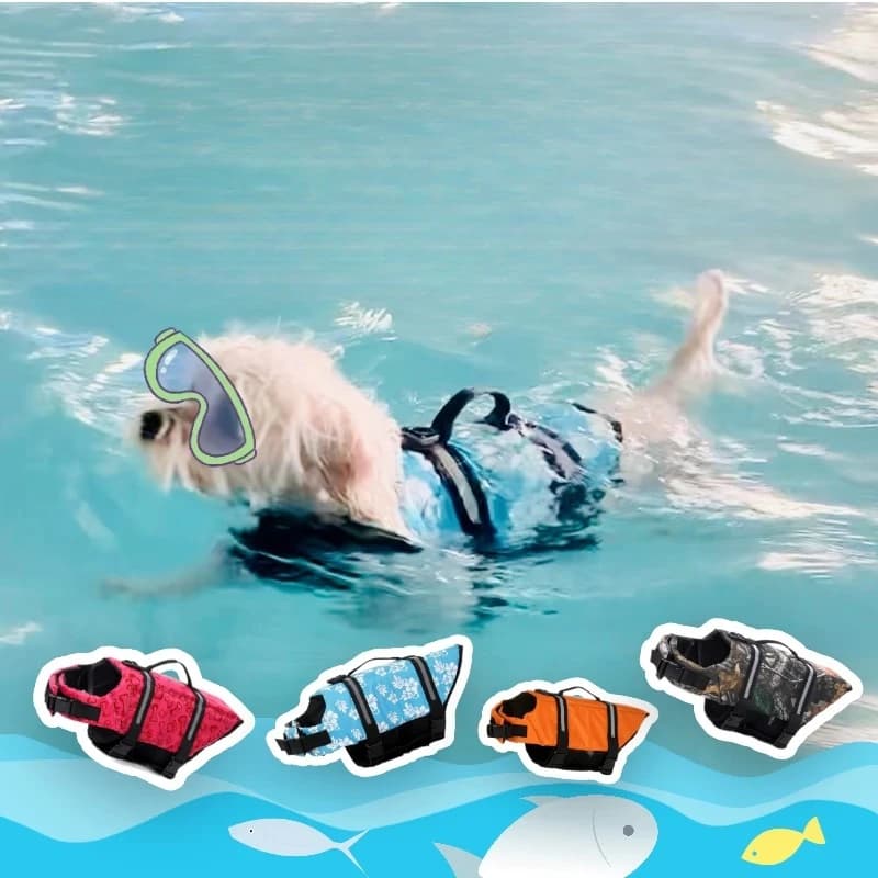 Giubbotto di salvataggio per cani Giubbotto salvaspazio per costumi da bagno di sicurezza con strisce riflettenti/Cani con cintura regolabile