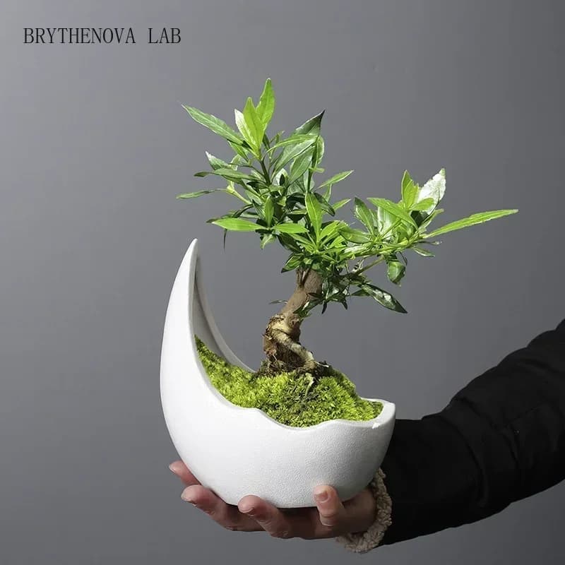 Rhinoceros Horn Shape Ceramic Flower Pot Green Plant Pot Planter Succulent Cactus Bonsai Flower Container Home Decoration