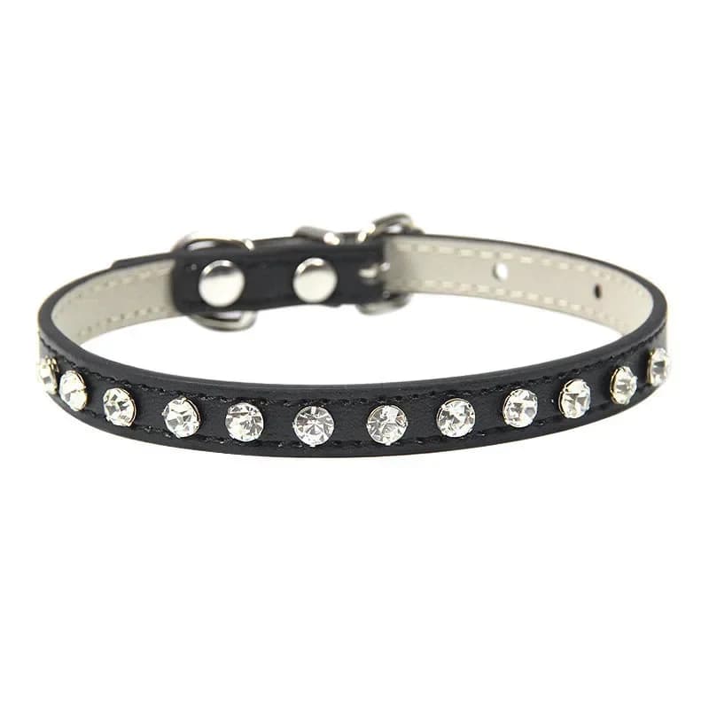 Ciotola in ceramica antiscivolo per cani con supporto, ciotola per cibo e acqua, protegge la colonna cervicale per gatti e cani, accessori per animali domestici