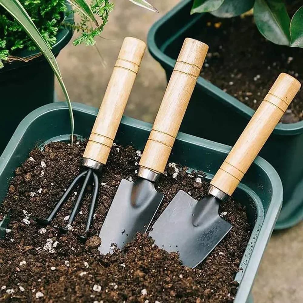 Set di 3 Mini Attrezzi da Giardinaggio per Piante, Vasi, Cactus, Verdure, Scavo, Diserbo, Piccole Piante da Interno