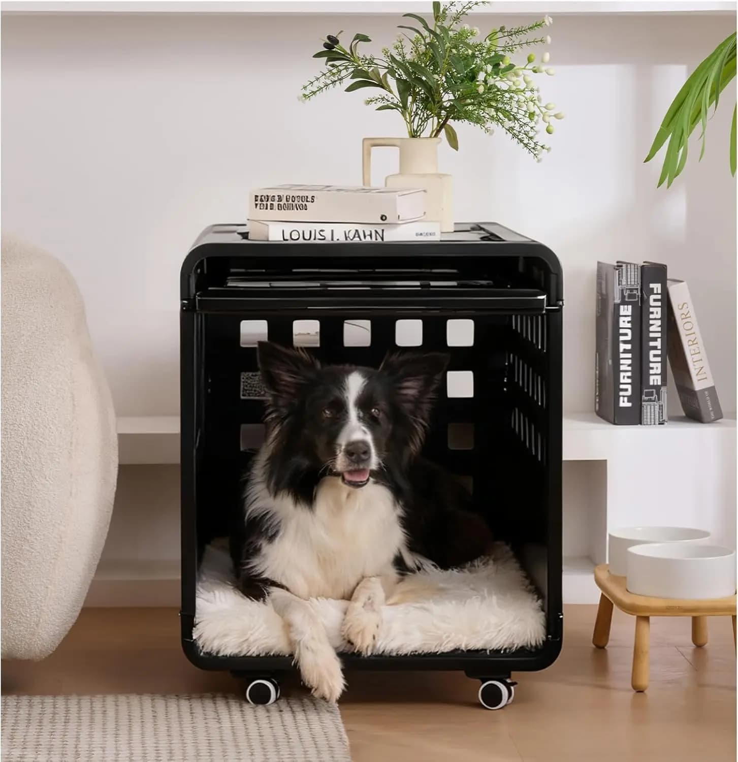 Cuccia per Cani da Interno, in Acrilico, Nera e Semi-Trasparente, con Pannello Mobile e Design Modulare