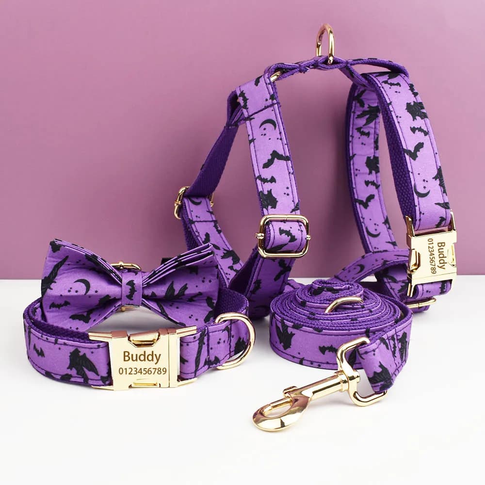 Collare per cani personalizzato con targhetta identificativa incisa gratuita per il Set di accessori per animali domestici per la festa di Ognissanti con guinzaglio e pettorina abbinati
