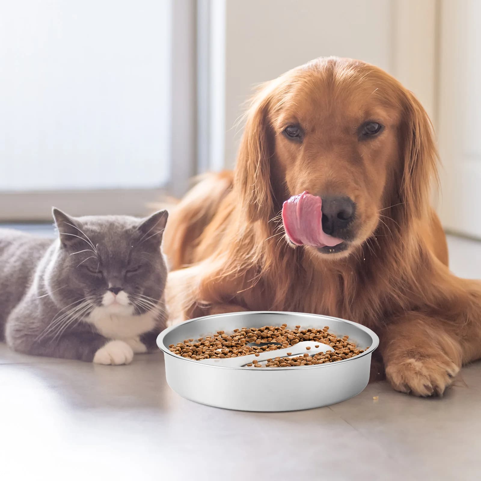 Ciotola per Cani in Acciaio Inox 304 con Tappetino Antiscivolo, Ciotola Anti-Soffocamento per Cani di Piccola e Media Taglia