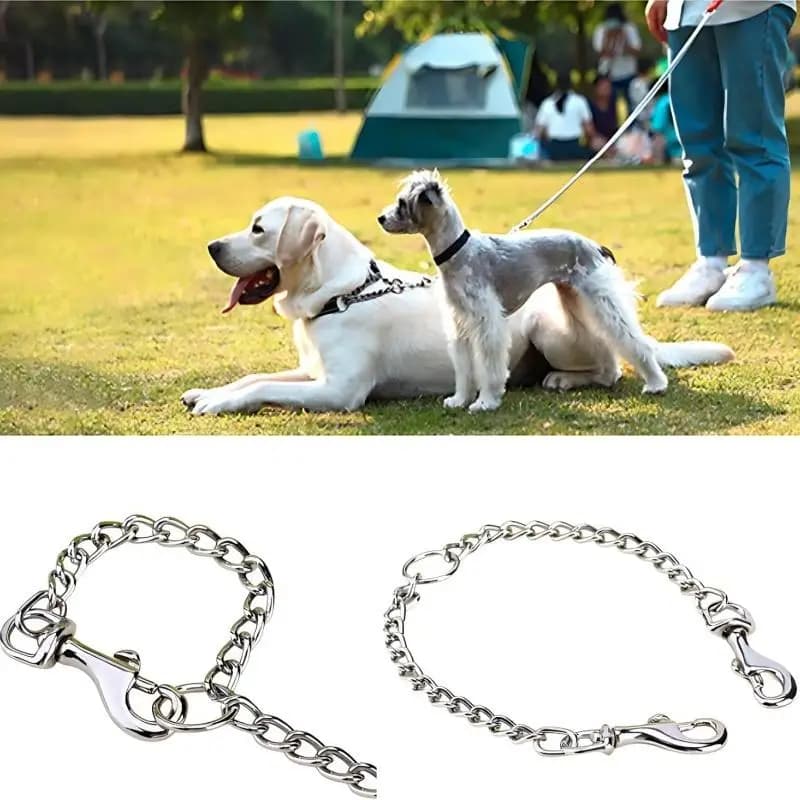 Double Row for Dogs with Traction Belt and Double Buckle for Two Dogs, Ideal for Running and Stroller