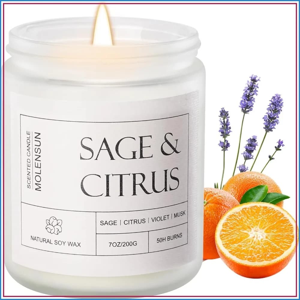 Sage & Citrus Scented Candle, 7 oz Long Lasting Soy Wax Candle for Relaxation & Gift