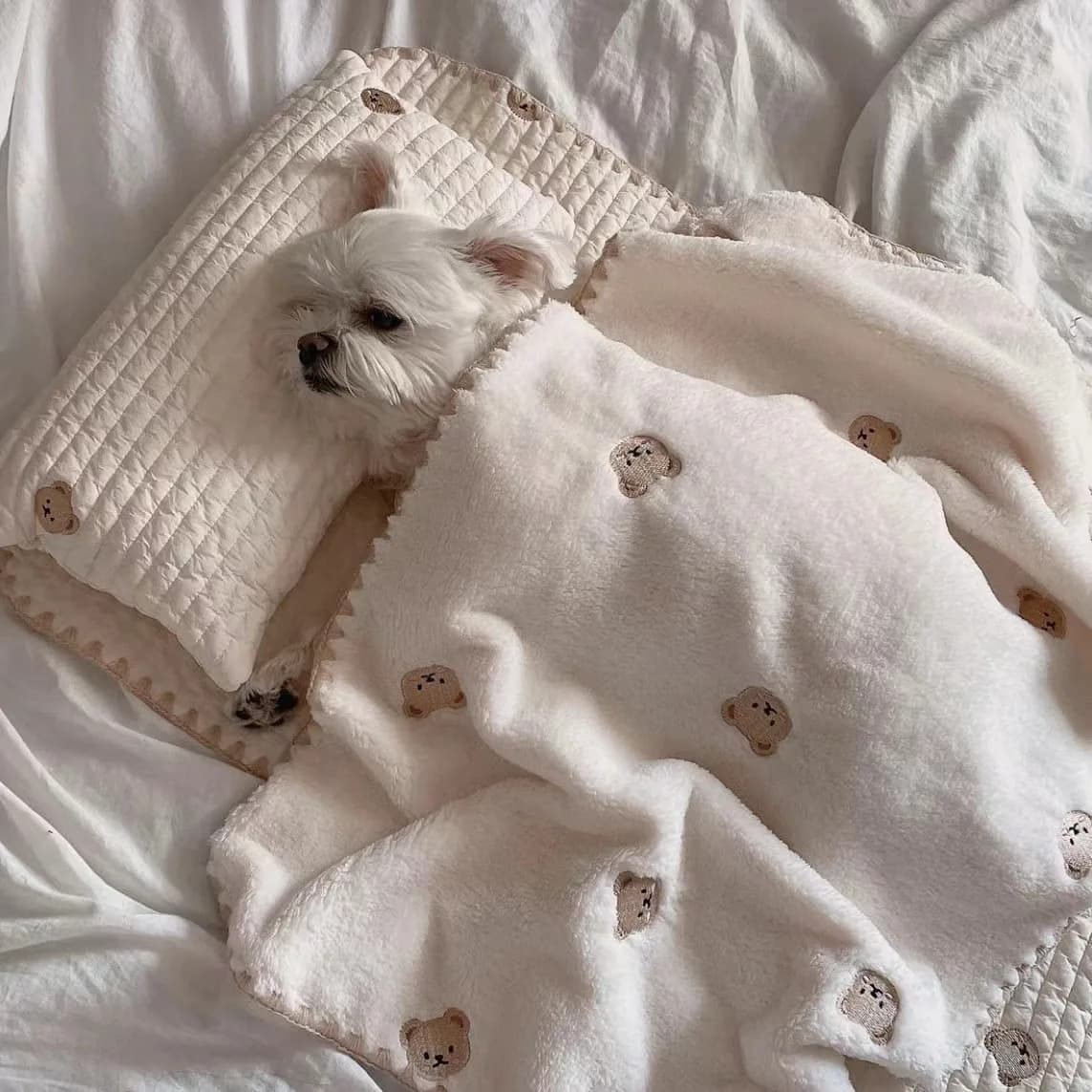 Set di 3 Pezzi per Cuccia per Cani con Cuscino, Materasso e Piumino, Nido per Gatti Rimovibile e Lavabile, Morbido e Confortevole, Accessori per Animali Domestici