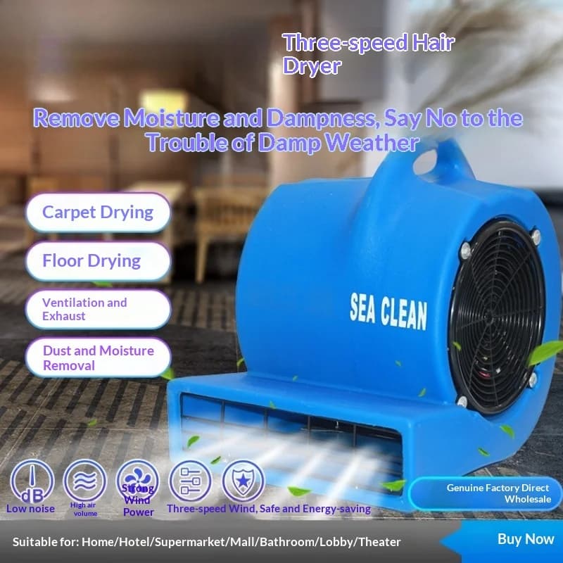 High Power 3-Speed Hair Dryer, SC-900 Carpet Drying Blower for Hotels, Malls, Supermarkets, Moisture Removal, Dehumidifier