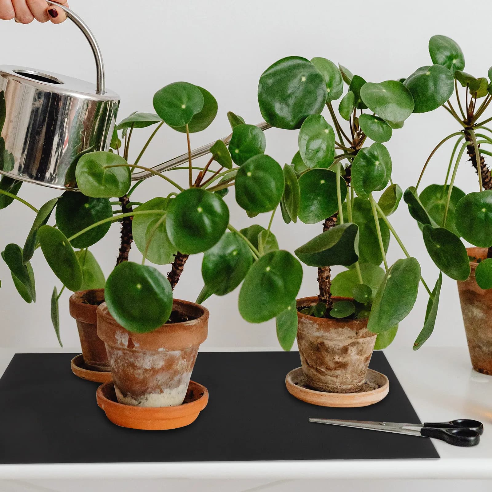 Set di Tappetini Assorbenti per Piante, Sistema di Irrigazione Automatica per Vasi da Interno, Accessori per Giardinaggio