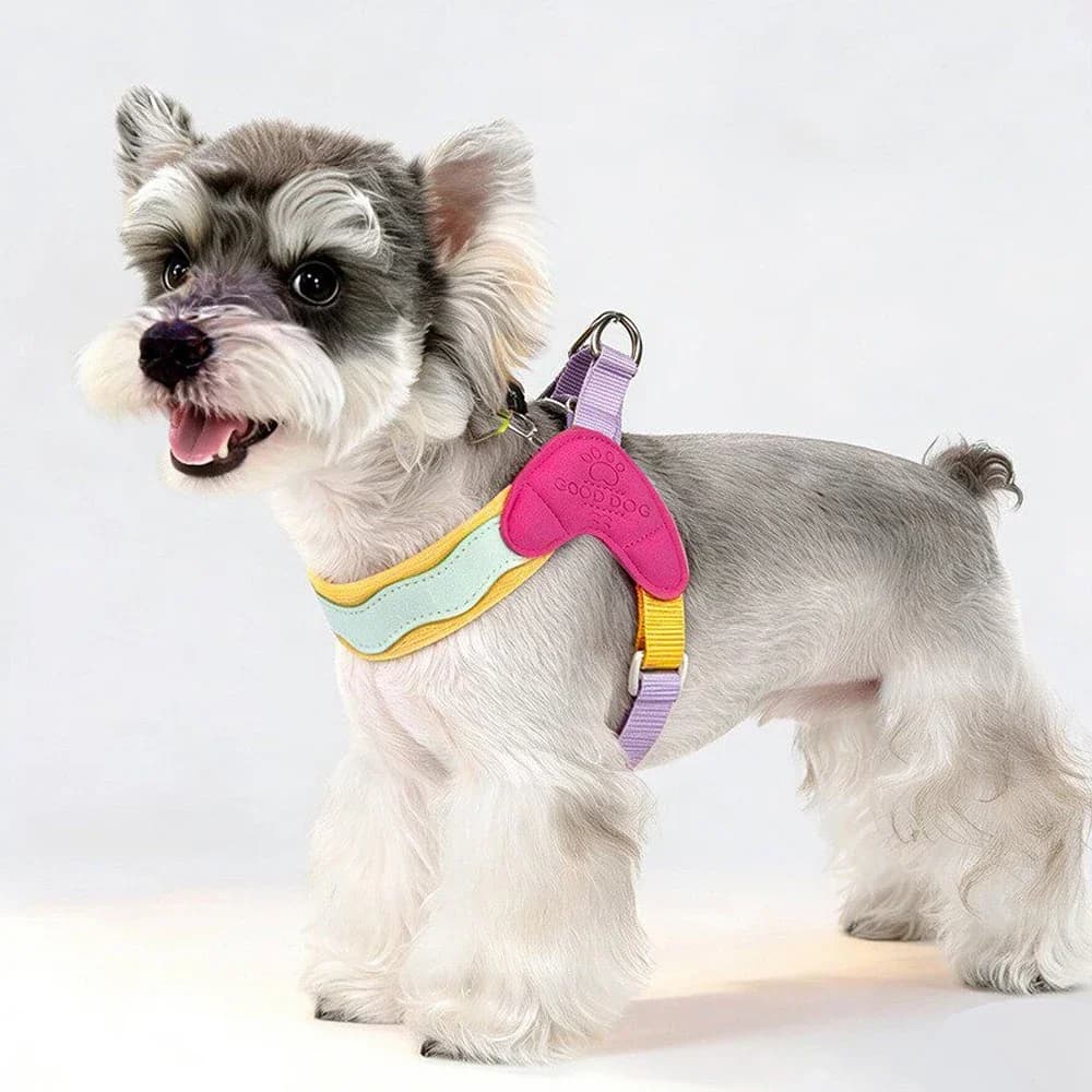 Pettorina per Cani Piccoli a Y Senza Strappi, Stile Dopamina, in Materiale Traspirante per Passeggiate e Addestramento Cuccioli all'Aperto