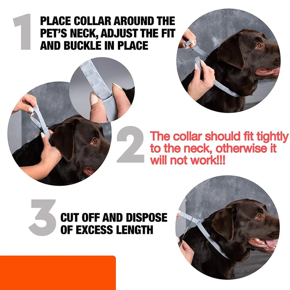 Collare professionale per protezione antipulci e zecche da 8 mesi Collare per cani anti-zanzara regolabile per gatti in silicone per prevenzione degli insetti Teddy