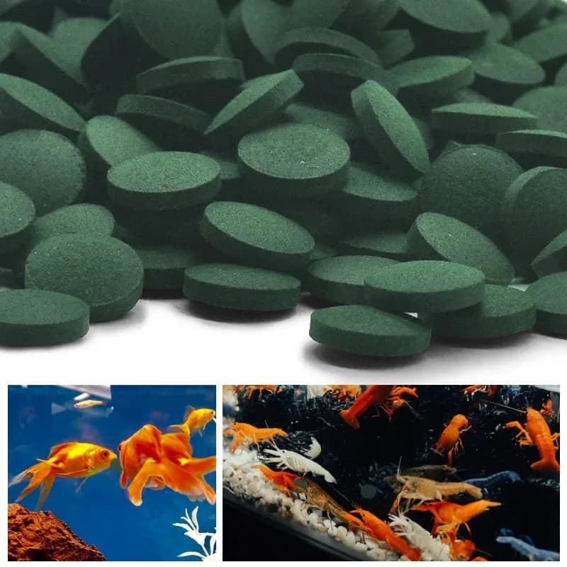 200 compresse di spirulina per arricchimento di cibo per animali preferito per pesci, gamberetti rossi di cristallo, cibo per animali domestici