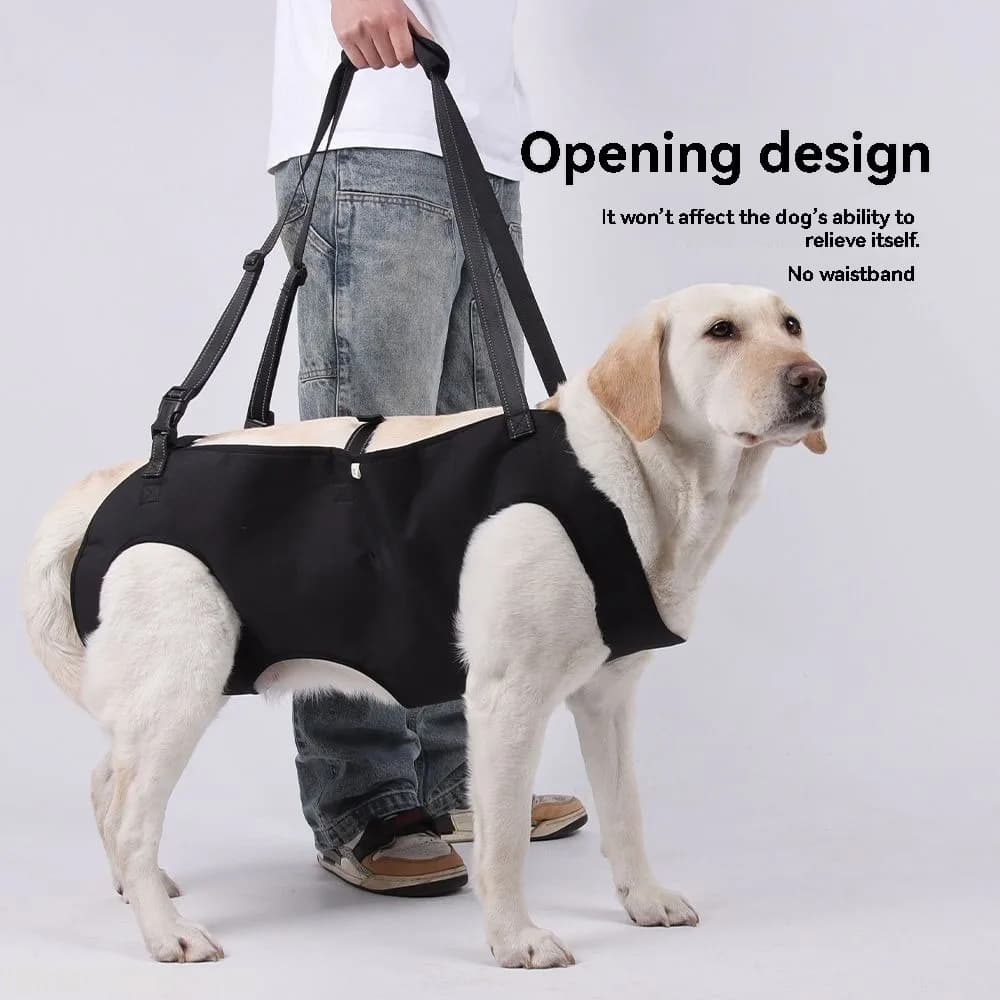 Imbracatura portatile per cani, cintura di assistenza per cani anziani o disabili, cintura per riabilitazione e allenamento, cintura di assistenza per salire le scale