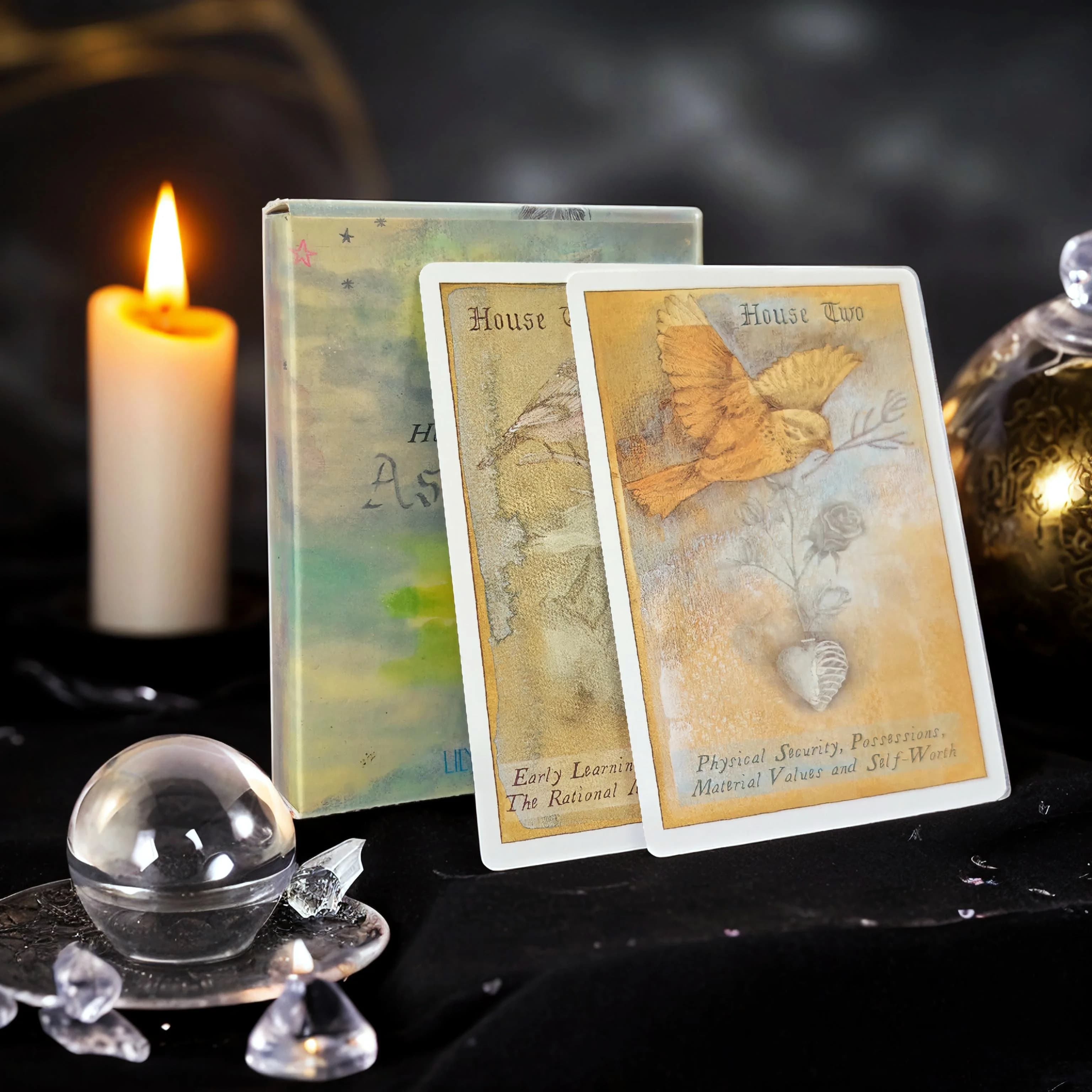 Mazzo di oracoli per astrologia dei corpi celesti: 51 carte acquistate dei pianeti, dello zodiaco, le case, le grandi aspetti 10,4 * 7,3 cm