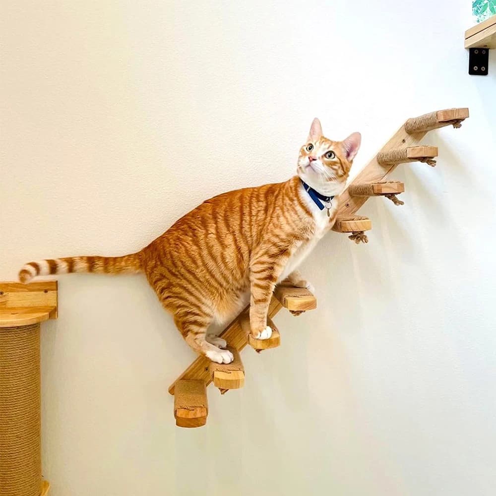 Scale da arrampicata per gatti Gradini montati a parete in legno e corda di sisal Scaletta antigraffio Mobili per animali domestici per gatti al coperto che giocano al sonno